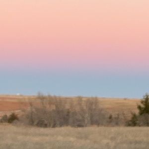 Meet your Posher, Faith